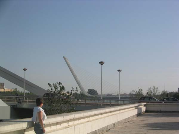 IMG_0706