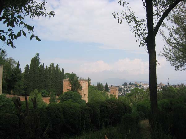 IMG_0809